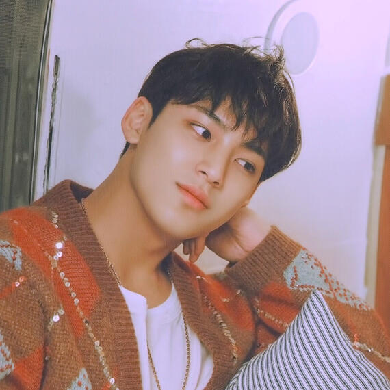 kim mingyu